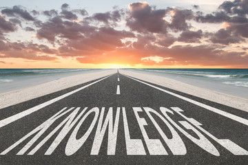 怎样捉竹鸡？_1