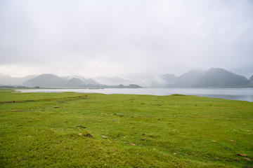 春天都种什么蔬菜-