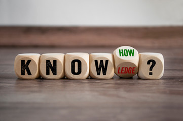 养生壶可以煮鸡鸭鱼汤么