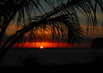 哪一年北师大中国公益研究院生命关怀研究中心成立