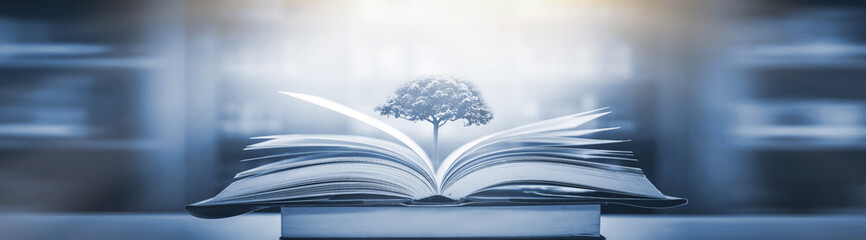 哪一年北师大中国公益研究院生命关怀研究中心成立