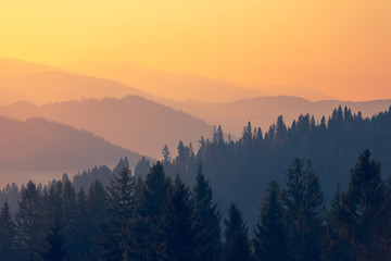 记忆历史知识的有效方法