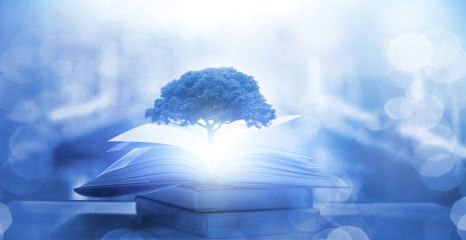 怎样捉竹鸡？_1