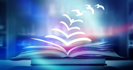 养生壶可以煮鸡鸭鱼汤么