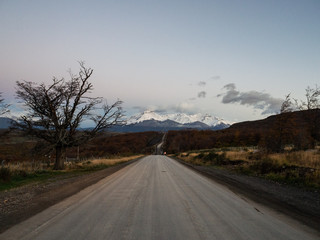 养生壶可以煮鸡鸭鱼汤么