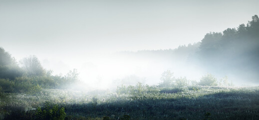 幼儿园小班教案《认识水果》