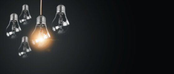 春天都种什么蔬菜-