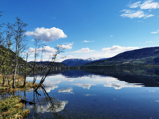春天都种什么蔬菜-