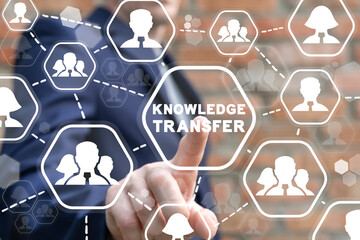 春天都种什么蔬菜-