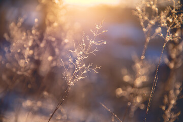 中国银行长城跨境通国际借记卡的特色优势是什么