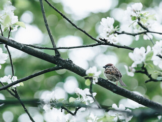 想知道-漳州市 从漳州站到东山岛怎么去