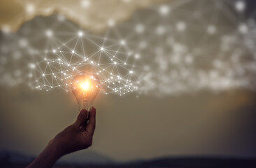 怎样捉竹鸡？_1