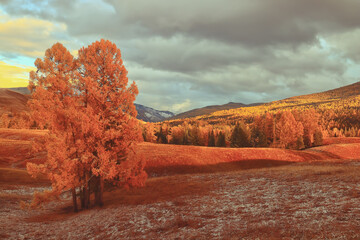 记忆历史知识的有效方法
