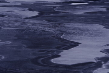 怎样捉竹鸡？_1