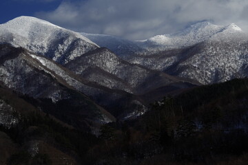 春天都种什么蔬菜-