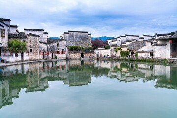 怎样捉竹鸡？_1