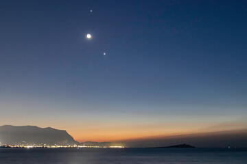 怎样捉竹鸡？_1