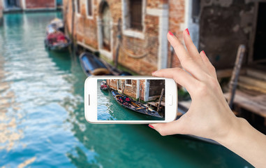 春天都种什么蔬菜-