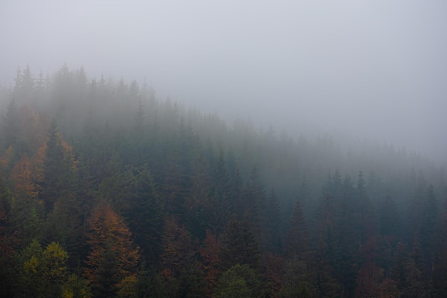 泸沽湖几月份去最好