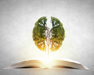 春天都种什么蔬菜-