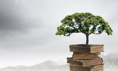 大学社团用英语怎么说比如篮球社魔方社还有社团内社