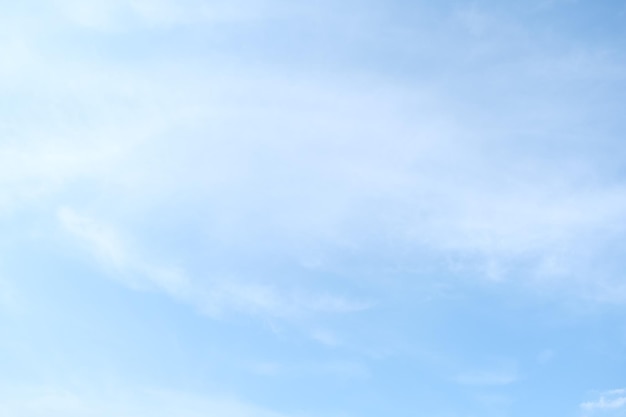 怎样捉竹鸡？_1