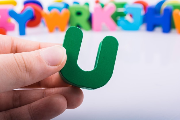 养生壶可以煮鸡鸭鱼汤么