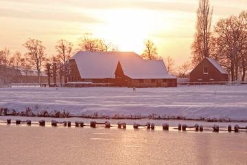 养生壶可以煮鸡鸭鱼汤么